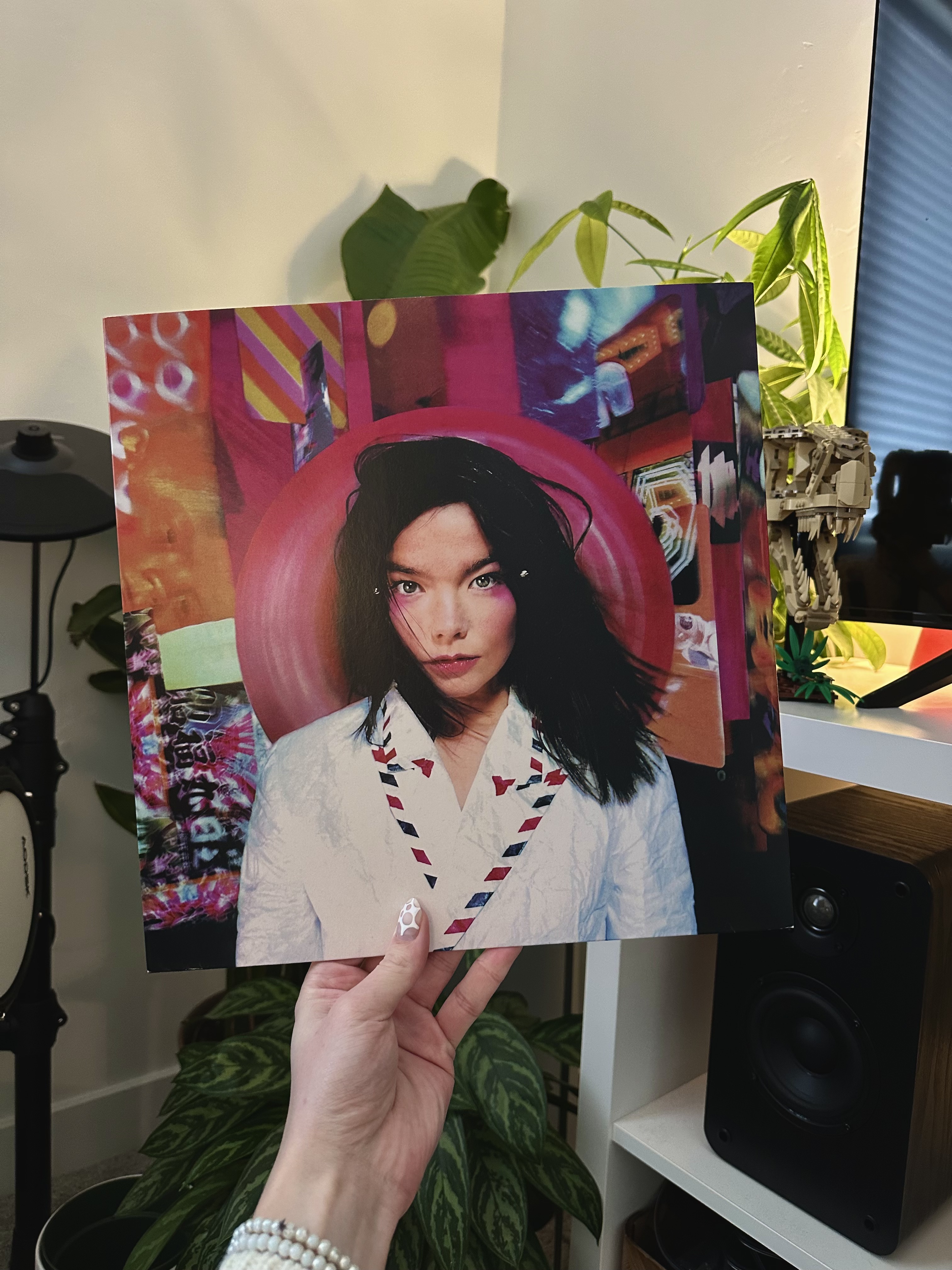 Post by Björk vinyl record
